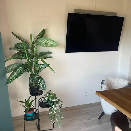 Stilvolle 90qm Mit Wintergarten Lejlighed Hungen