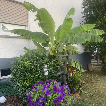 Stilvolle 90qm Mit Wintergarten *