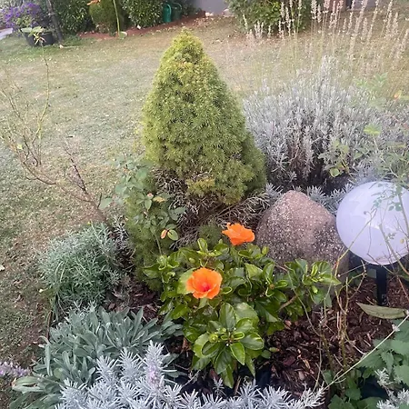Lejlighed Stilvolle 90qm Mit Wintergarten *