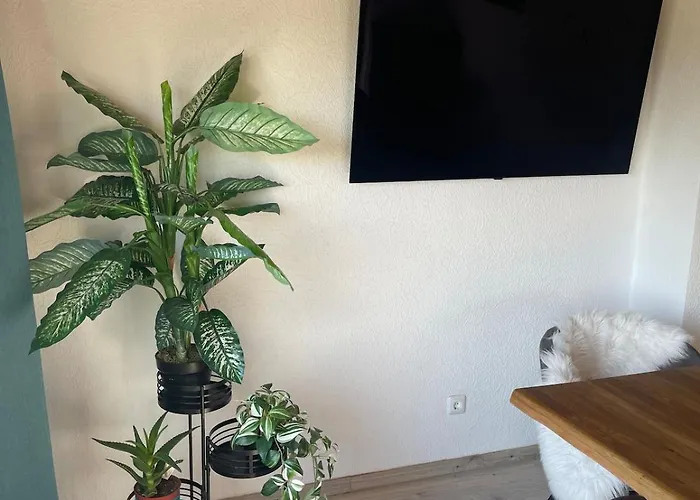 Stilvolle 90qm Mit Wintergarten Apartment Hungen