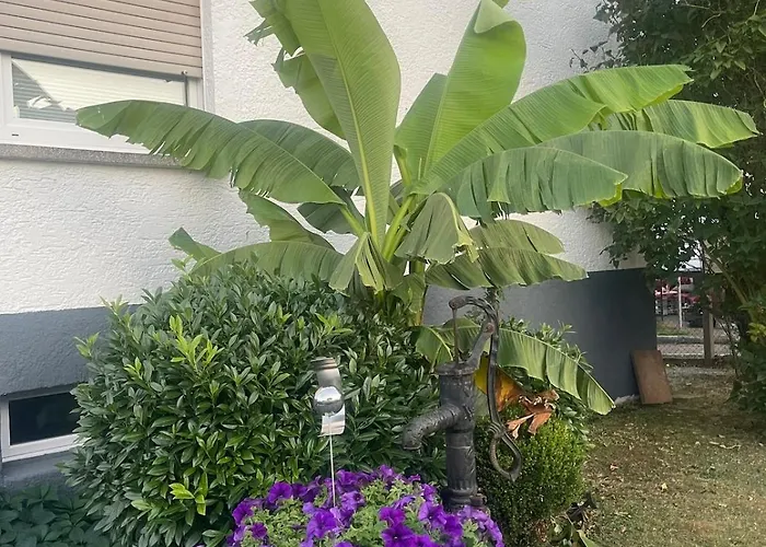 Stilvolle 90qm Mit Wintergarten *