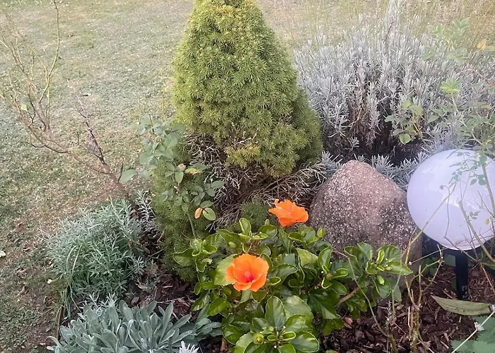 Apartamento Stilvolle 90qm Mit Wintergarten *