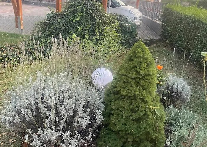 Stilvolle 90qm Mit Wintergarten Apartment