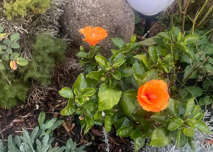 Apartamento Stilvolle 90qm Mit Wintergarten